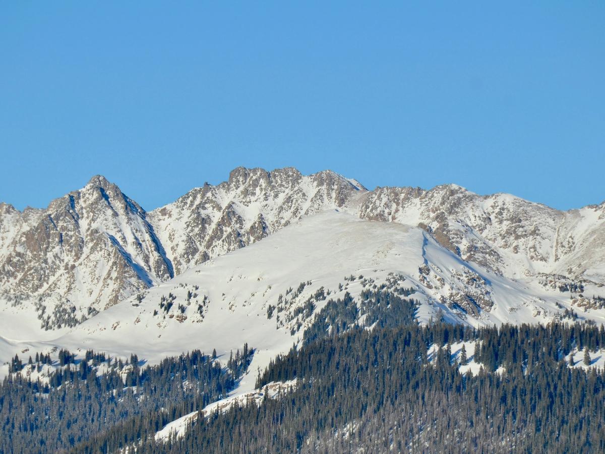 Jagged, snow-covered peaks rise sharply against a clear blue sky, with dark pine forests blanketing the lower slopes in this classic Rocky Mountain winter scene.