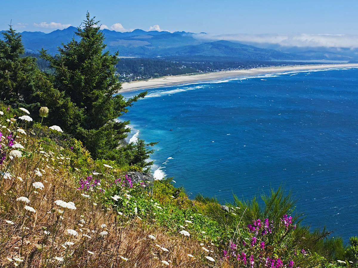 Aerial View of Arch Cape Oregon From Overlook in State Park