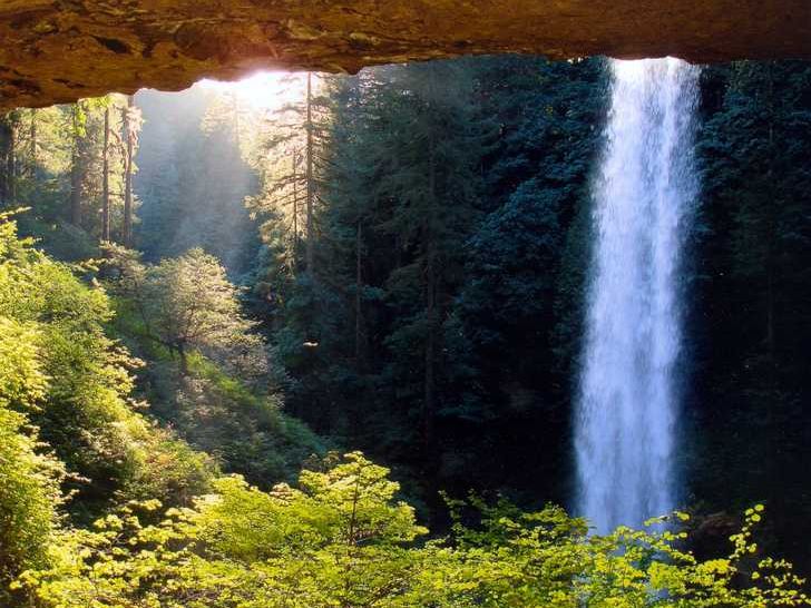 A tall waterfall drops into a bright green forest at Silver Falls State Park. Sunlight shines through the trees, giving the whole scene a soft, peaceful glow. It feels like a hidden viewpoint deep in nature.