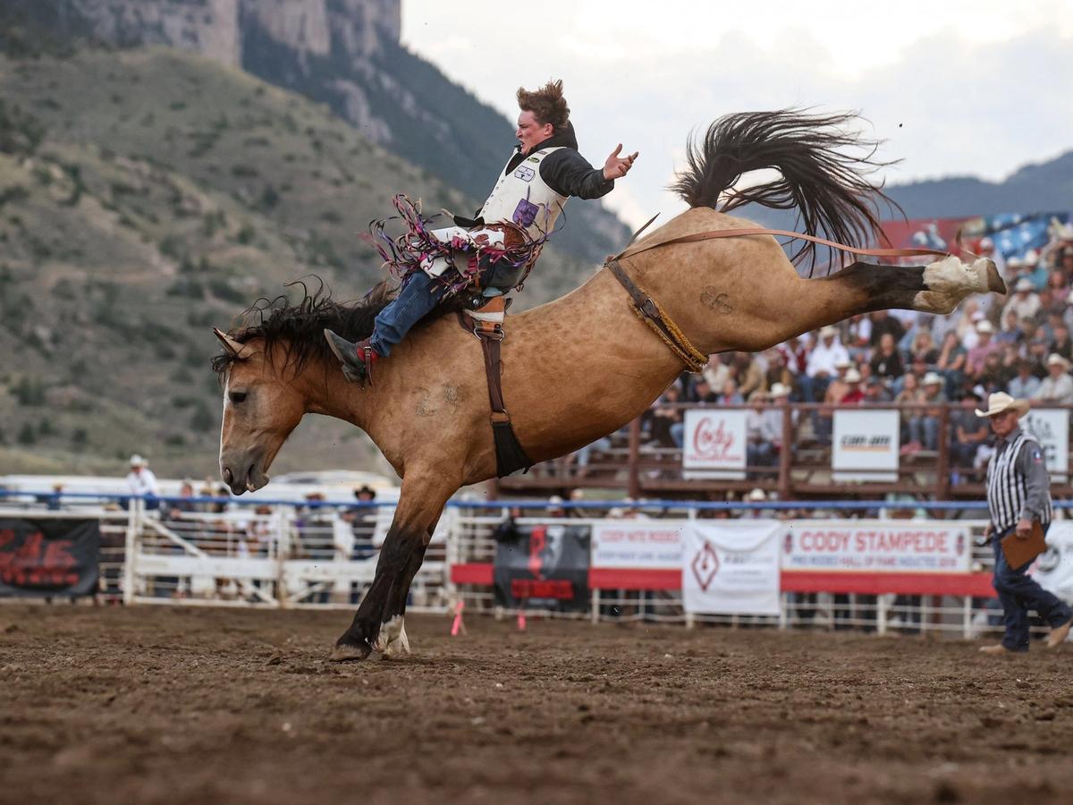 A cowboy holds tight as his horse bucks powerfully in the dirt arena, capturing the thrilling energy of the Cody Stampede Rodeo. The rugged Wyoming mountains rise in the background while the crowd watches in awe.