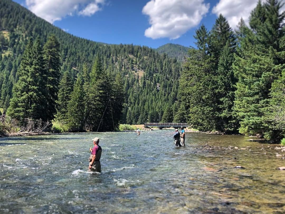 Fly fishers wade into a clear river, surrounded by pine trees and mountain views. It’s a calm day out in nature, casting lines under the blue Montana sky.