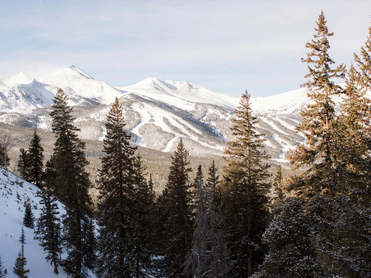 Snow-covered ski runs stripe the distant mountains in this sunlit winter scene, framed by tall pine trees in the foreground near Breckenridge, Colorado.