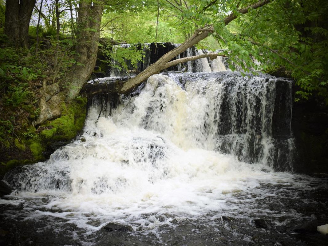 Water flowing powerfully over mossy rocks at Shohola Falls, framed by forest trees in the Pocono Mountains.