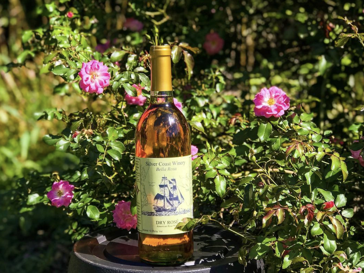 A bottle of Silver Coast Winery Bella Rosa dry rosé wine displayed outdoors on a black surface, surrounded by blooming pink roses and lush green foliage.