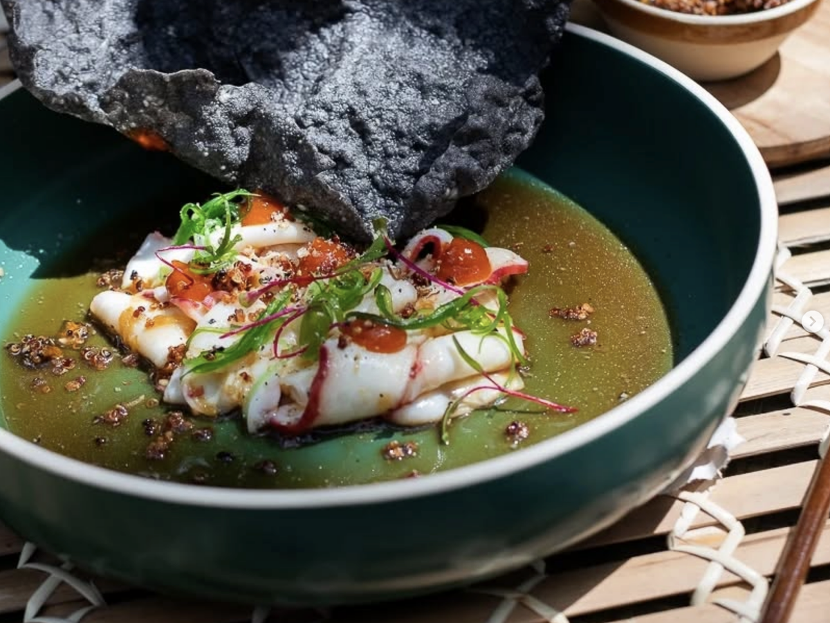 Artfully plated seafood dish with fresh herbs, a golden broth, and a large crispy black tortilla, served in a deep green bowl.