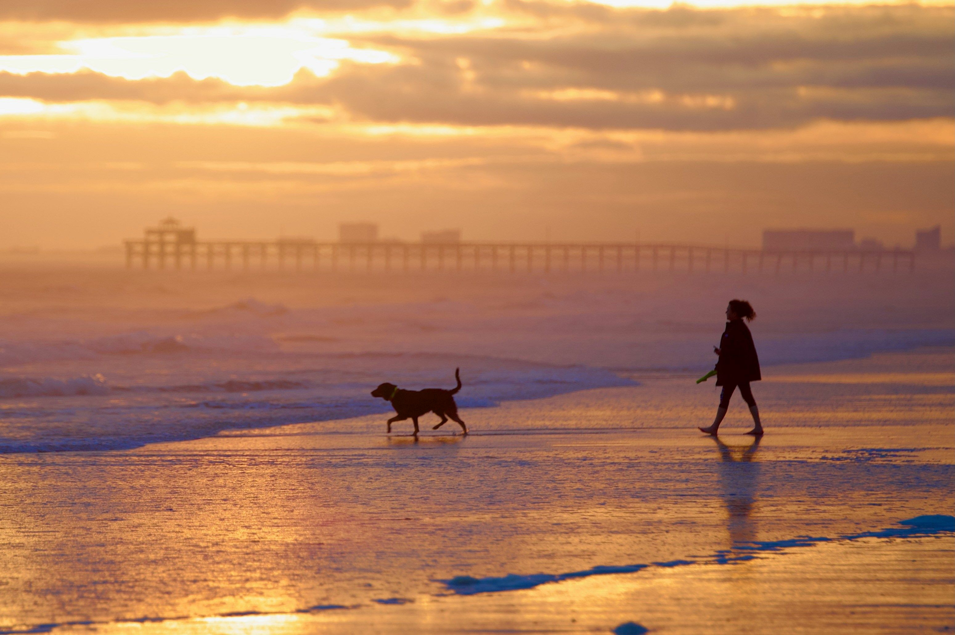 A person walks a dog along the shoreline at sunrise, with golden light reflecting off wet sand, gentle waves rolling in, and a distant pier silhouetted through the morning haze.