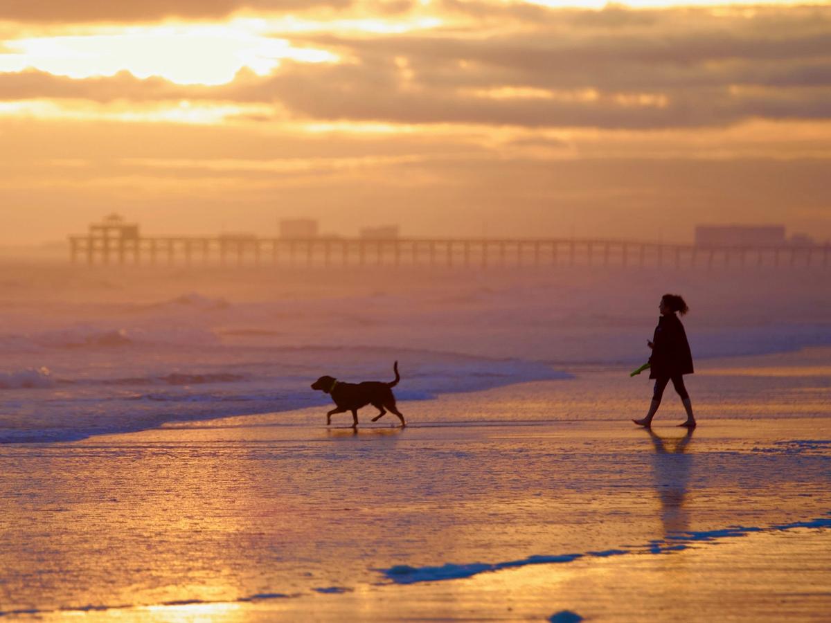 A person walks a dog along the shoreline at sunrise, with golden light reflecting off wet sand, gentle waves rolling in, and a distant pier silhouetted through the morning haze.