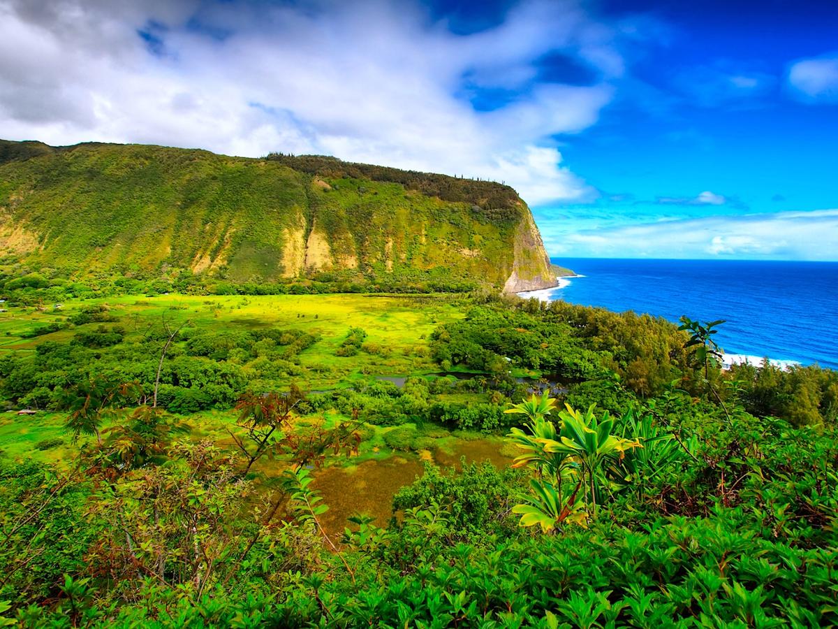 View of Waipio Valley and Ocean On The Big Island Hawaii