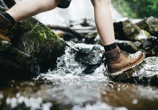 12 of the Best Trails & Hikes in Big Canoe, North Georgia