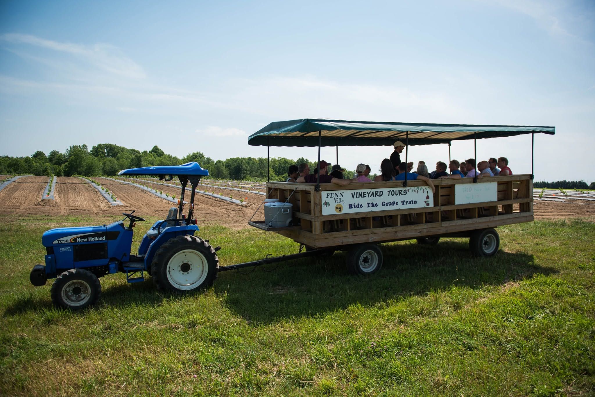  A blue New Holland tractor pulls a covered wooden wagon full of guests on a "Ride the Grape Train" vineyard tour at Fenn Valley Vineyards. Rows of young grapevines stretch across the sunlit fields beneath a bright blue sky.