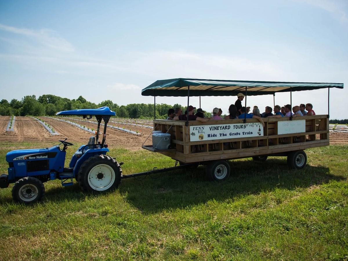 A blue New Holland tractor pulls a covered wooden wagon full of guests on a "Ride the Grape Train" vineyard tour at Fenn Valley Vineyards. Rows of young grapevines stretch across the sunlit fields beneath a bright blue sky.