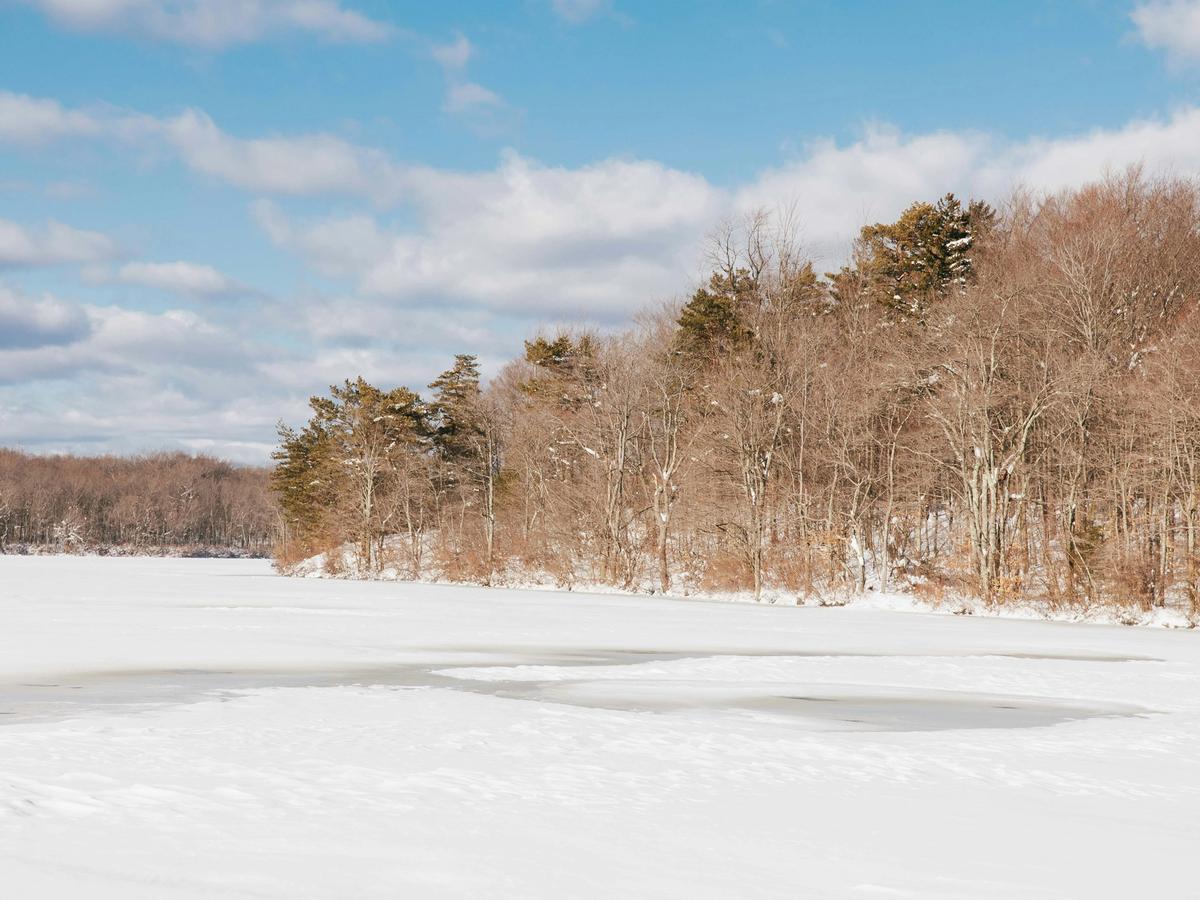Large, flat, and snowy field with forested trees and sunny skies above