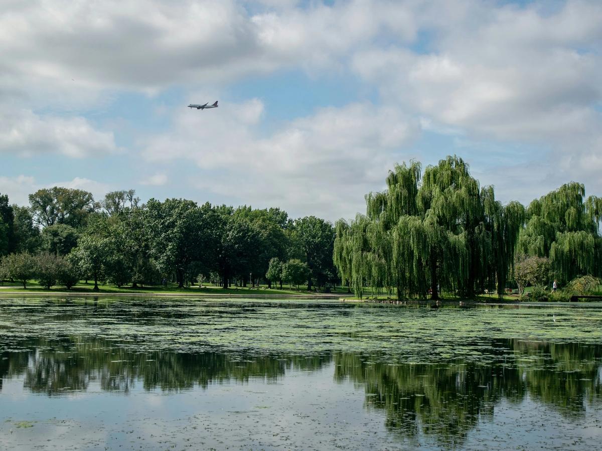 Tranquil park scene with a willow tree reflected in a lily-covered pond, under a partly cloudy sky with a plane flying overhead.