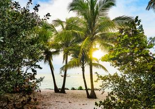 Hit the Coast with Our Helpful Orlando Beach Guide
