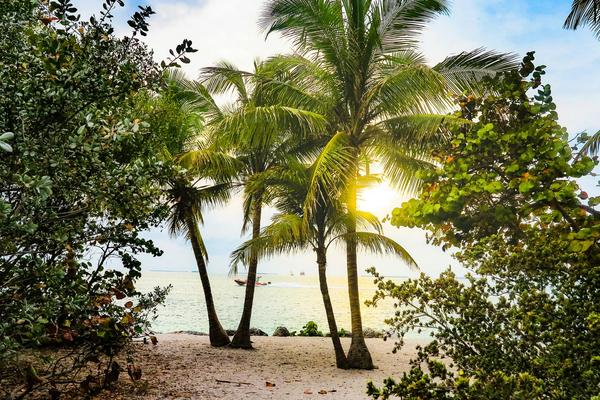 Hit the Coast with Our Helpful Orlando Beach Guide