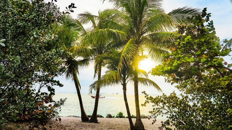 Hit the Coast with Our Helpful Orlando Beach Guide