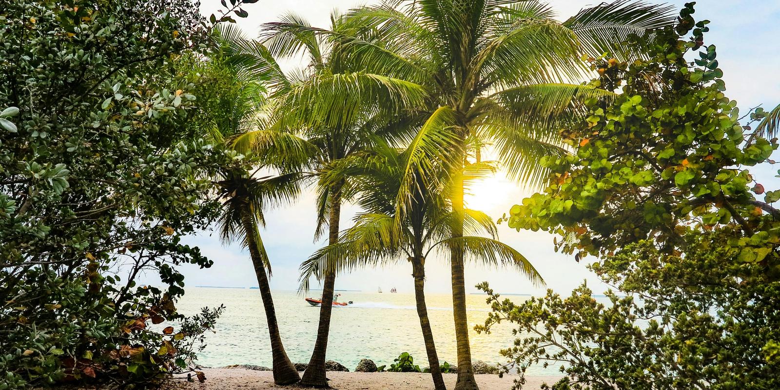 Hit the Coast with Our Helpful Orlando Beach Guide