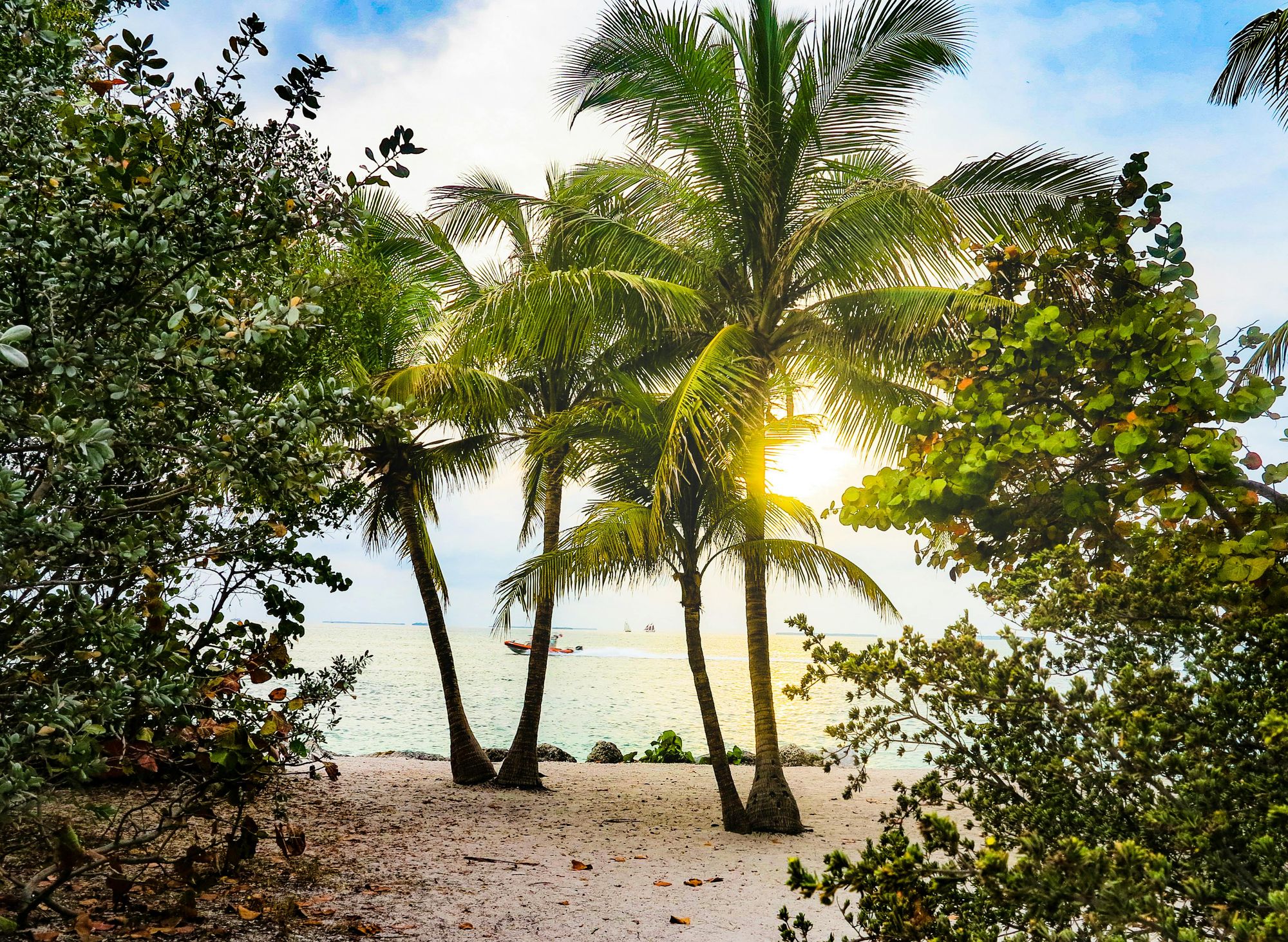 Hit the Coast with Our Helpful Orlando Beach Guide