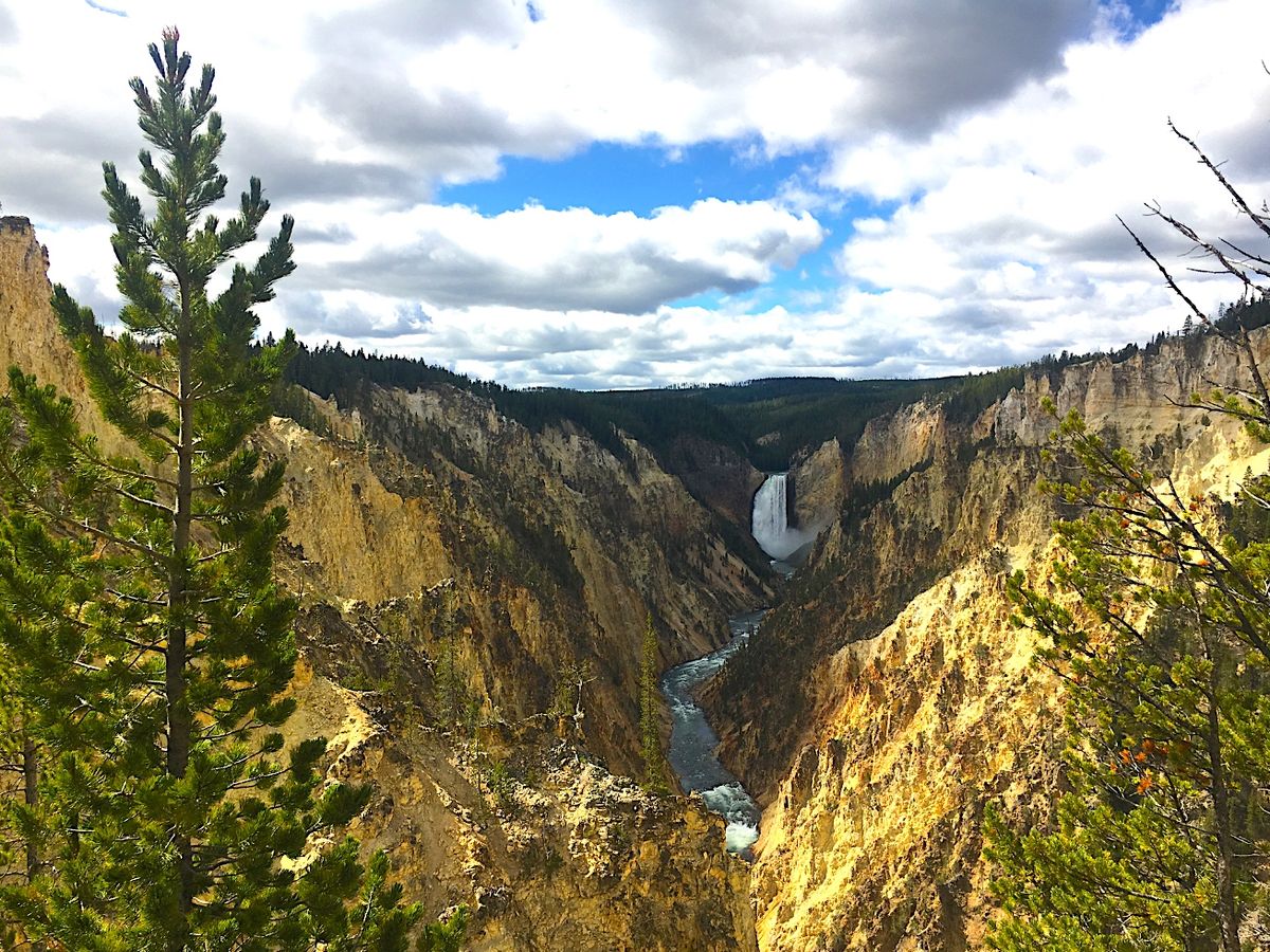 Aerial View of Yellowstone National Park Canyon With A Waterfall