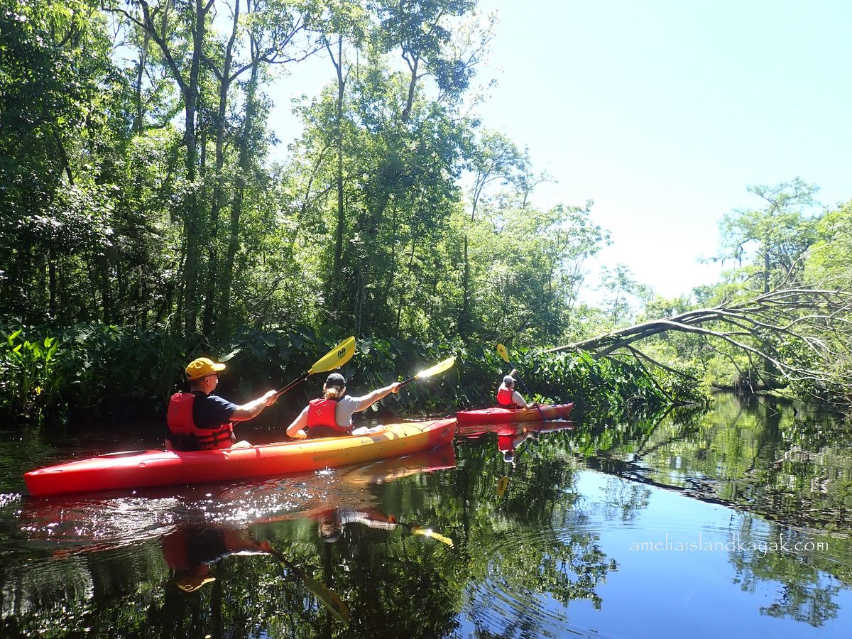 A group of kayakers paddling through a calm, tree-lined waterway on a sunny day. The vibrant red and orange kayaks contrast against the lush green foliage, reflecting on the glassy water. A fallen tree adds to the natural adventure setting