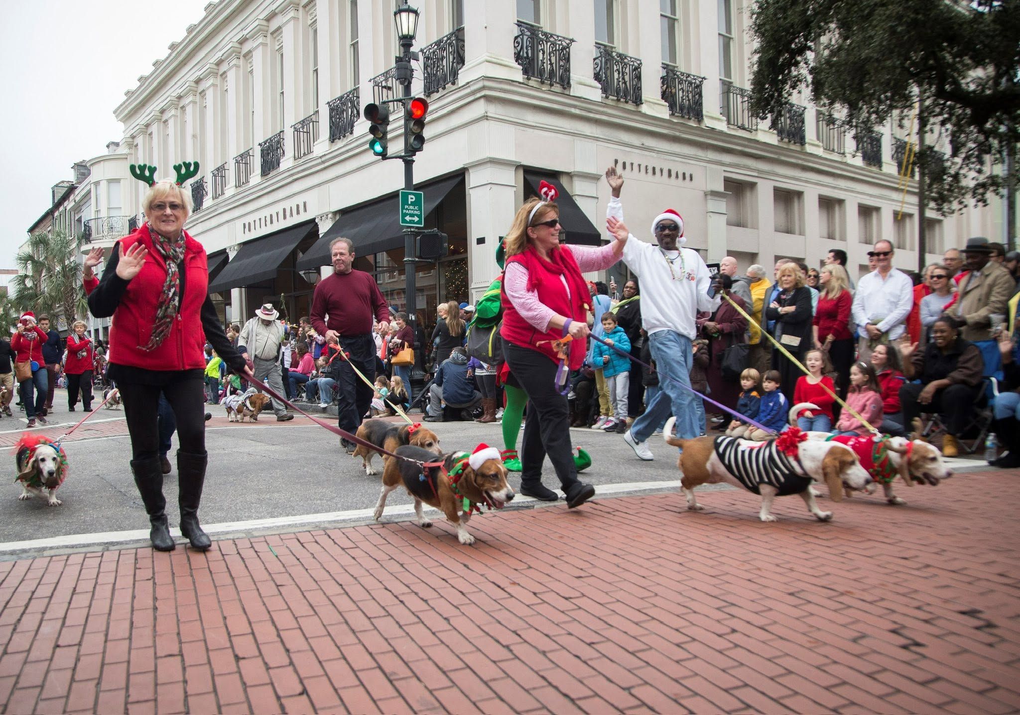 Costumed handlers walk basset hounds dressed in festive Christmas outfits down the historic brick sidewalks of King Street in Charleston, South Carolina, as holiday parade crowds cheer from the sidelines in front of Pottery Barn
