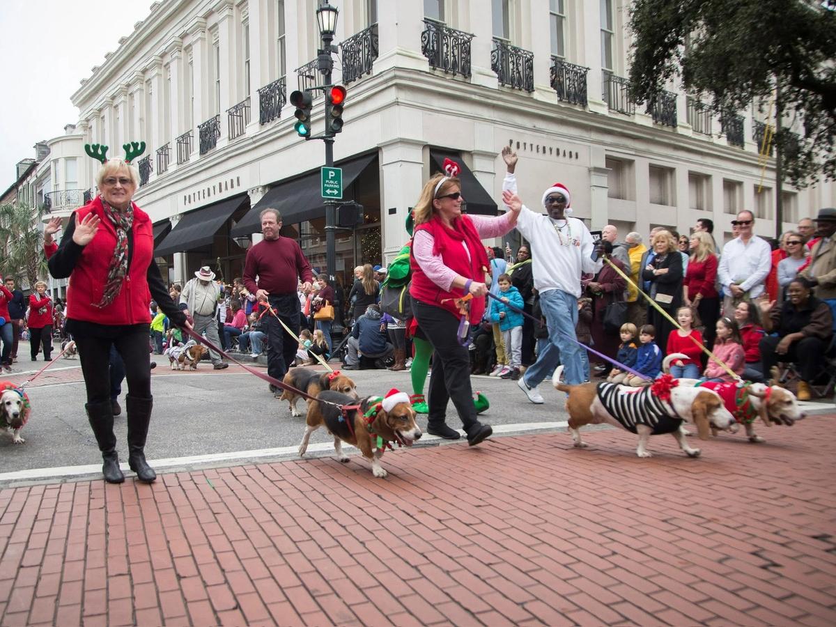 Costumed handlers walk basset hounds dressed in festive Christmas outfits down the historic brick sidewalks of King Street in Charleston, South Carolina, as holiday parade crowds cheer from the sidelines in front of Pottery Barn