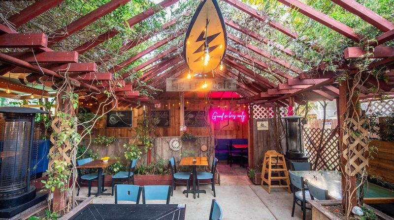 Your Ultimate Dog-Friendly Guide to San Diego, CA