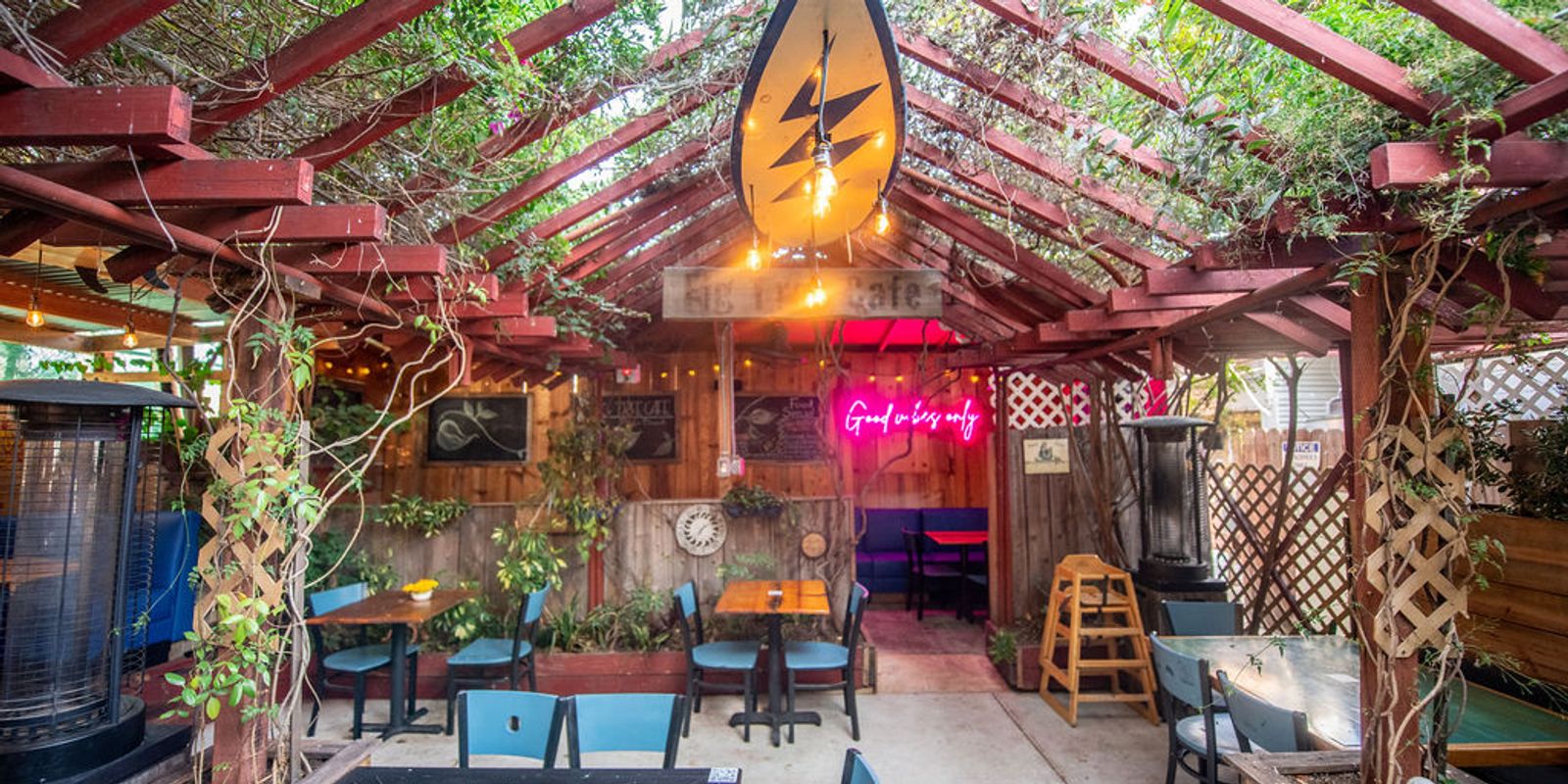 Your Ultimate Dog-Friendly Guide to San Diego, CA