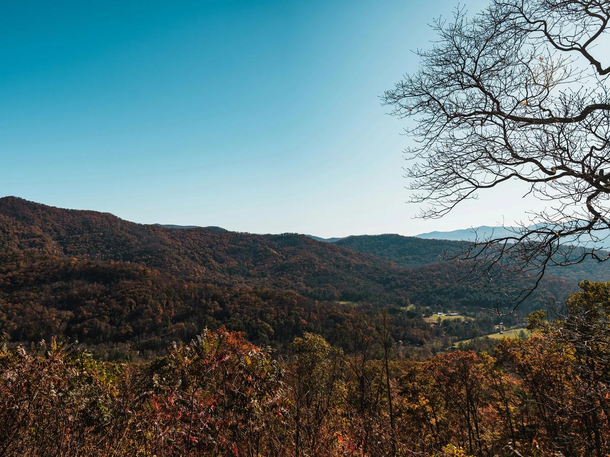 A scenic view of forested mountains in autumn colors under a clear blue sky, with a bare tree branch framing the landscape in the foreground.