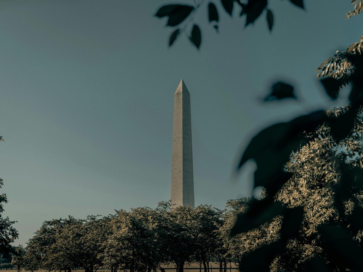 Far away view of the Washington Monument with some foliage covering part of the lens