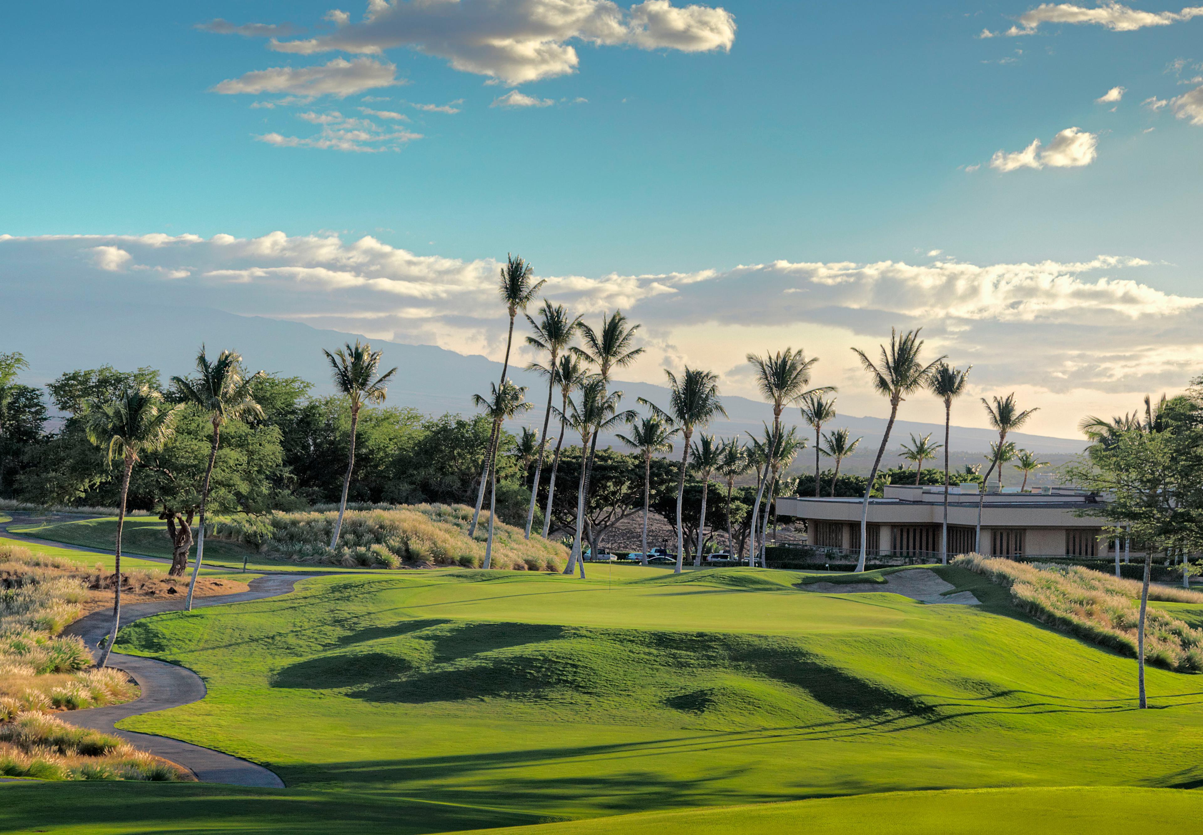 Tall swaying palm trees line the undulating fairways of Hapuna Golf Course on the Big Island of Hawaii, with the Mauna Kea volcano rising above the treeline in the background under a dramatic afternoon sky. 