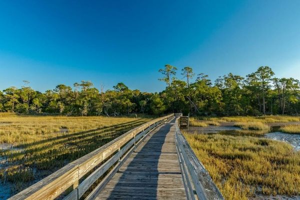 South Carolina Travel Inspiration