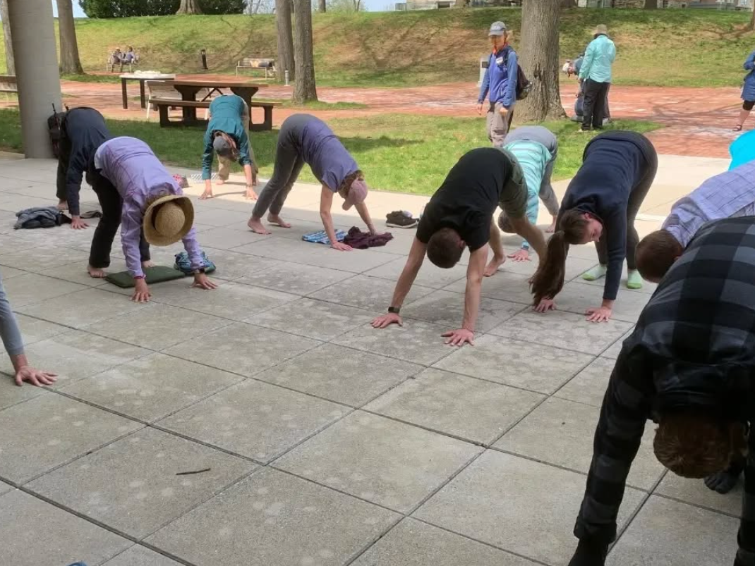 People stretching and doing yoga outside together in a group