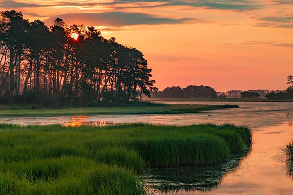 Your Guide To The Perfect Long Weekend in Chincoteague, VA