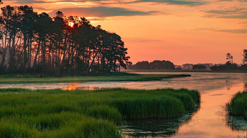 Your Guide To The Perfect Long Weekend in Chincoteague, VA