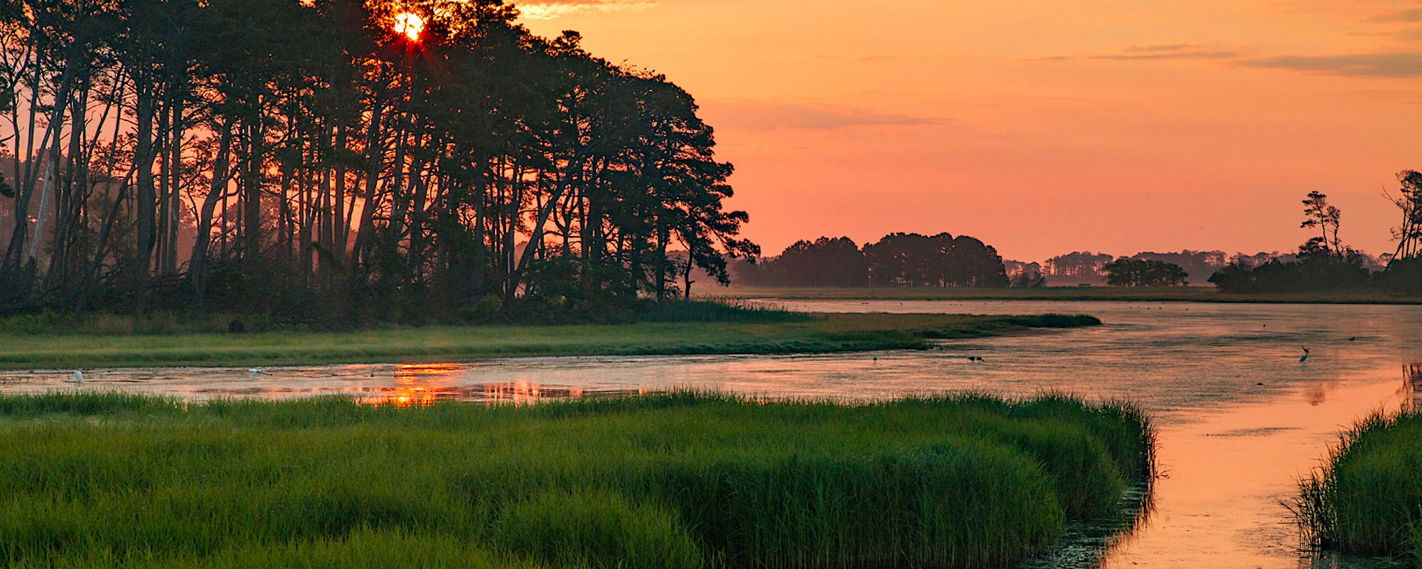 Your Guide To The Perfect Long Weekend in Chincoteague, VA