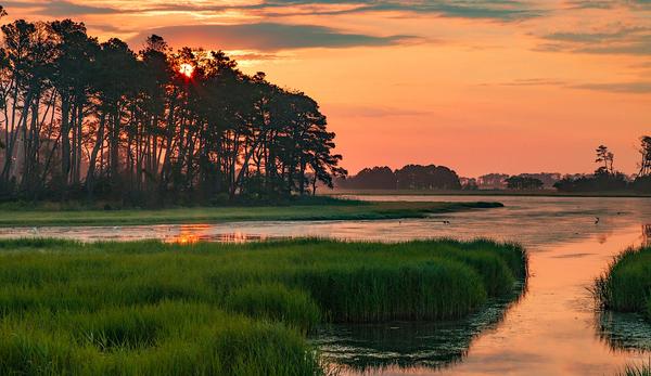 Your Guide To The Perfect Long Weekend in Chincoteague, VA