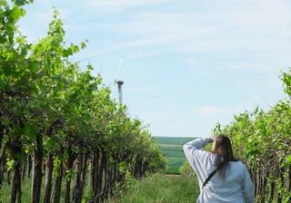 A Taste of America: Top Rated Wineries Across the U.S.
