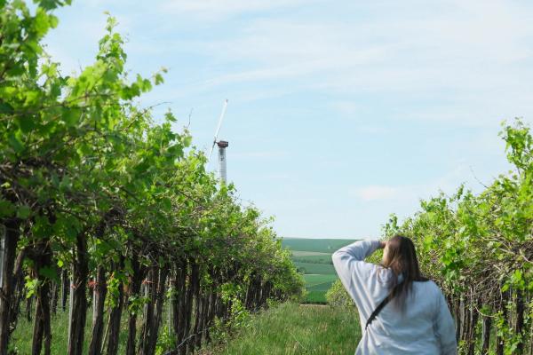 A Taste of America: Top Rated Wineries Across the U.S.