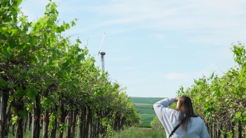 A Taste of America: Top Rated Wineries Across the U.S.