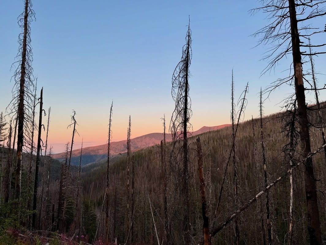 A scenic view from Lemonknob Loop trail in Big Sky, Montana, with burned tree silhouettes framing a colorful sunset over rolling mountain ridges. A hike that blends rugged wilderness with peaceful skies.