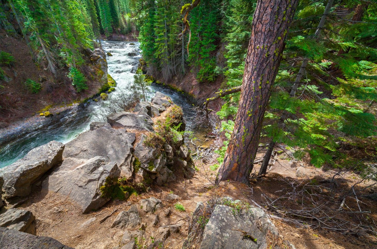 Benham Falls in Sunriver Oregon