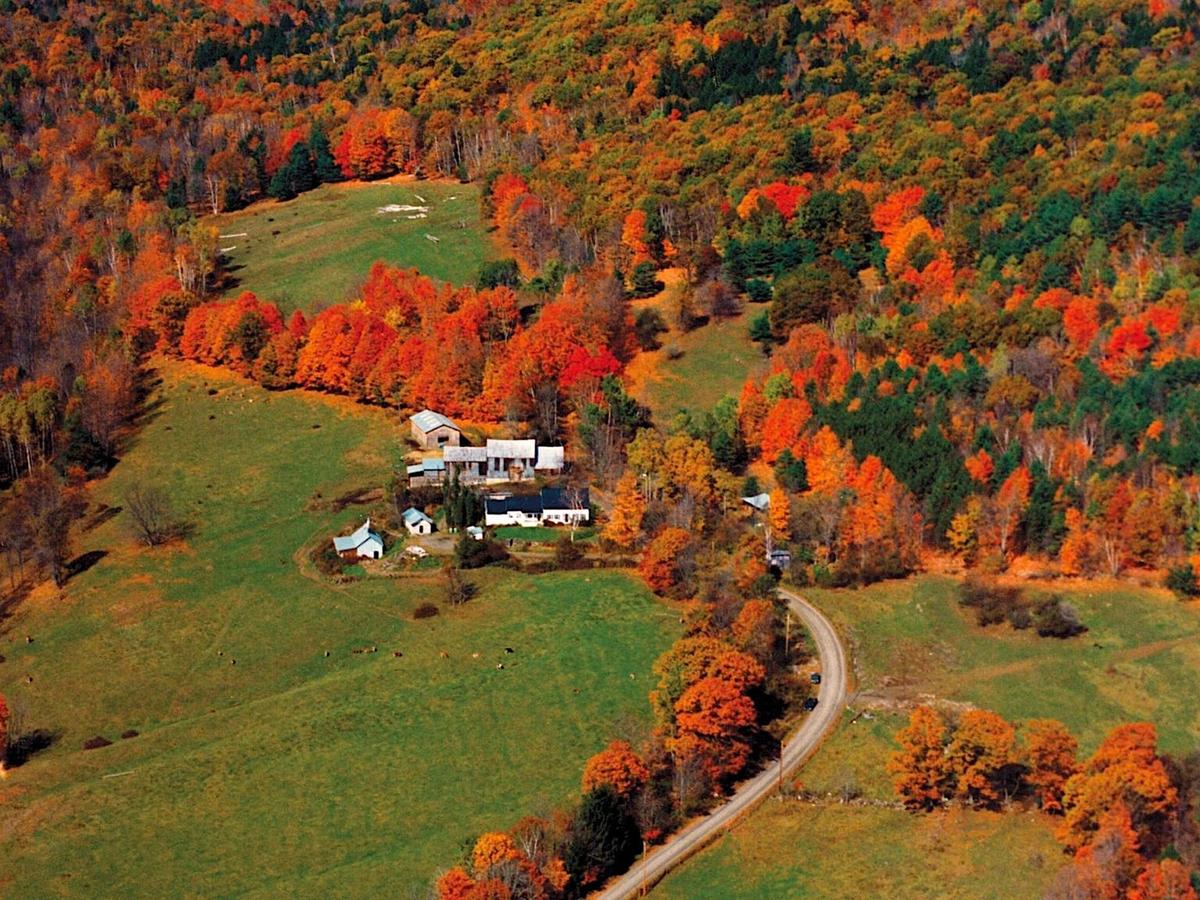 Aerial View of Sugarbush Maple Farm in Vermont Surrounded By Fall Foliage