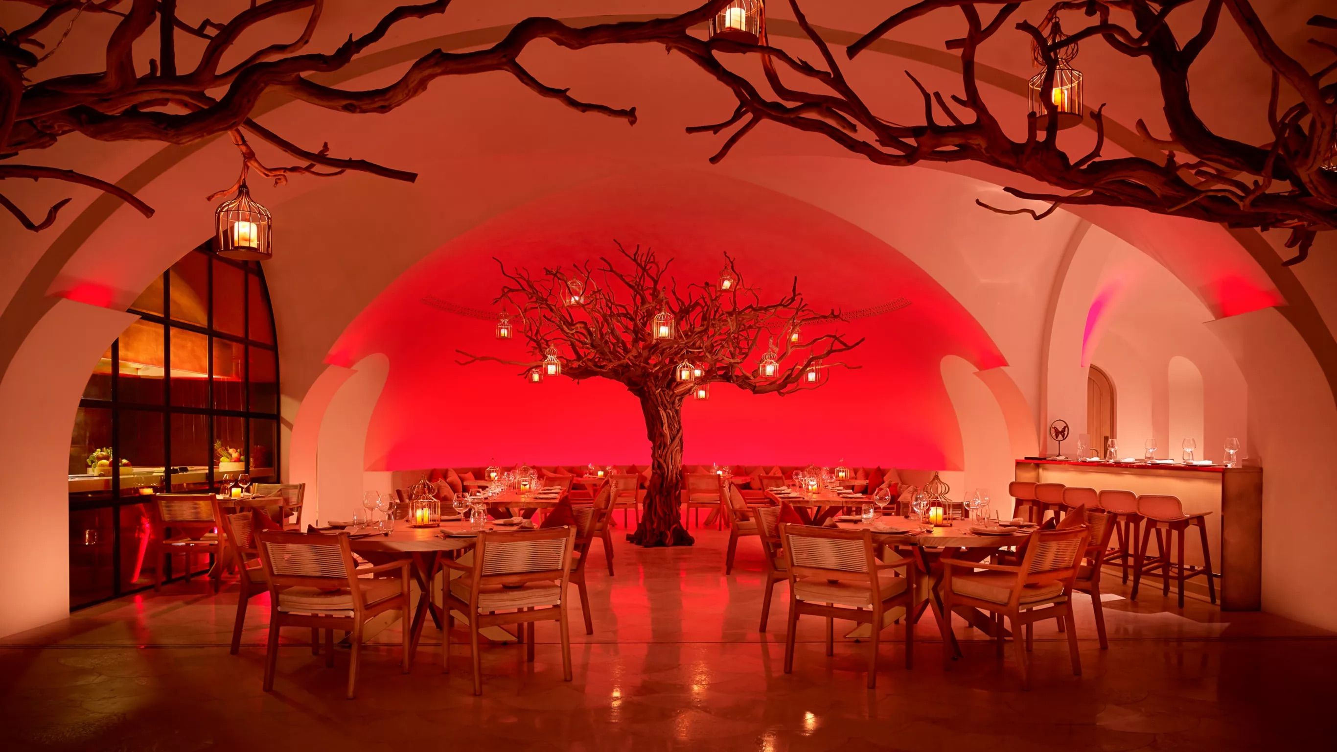 Arbol’s stunning interior glows with red ambient lighting and an artful tree centerpiece, creating a warm, mystical dining experience. The restaurant offers a fusion of Asian and Indian-inspired dishes in a space that feels both luxurious and intimate.