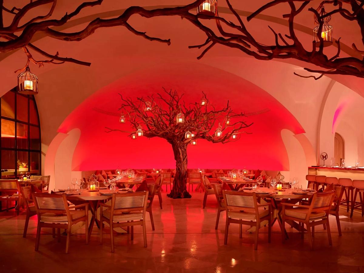 Arbol’s stunning interior glows with red ambient lighting and an artful tree centerpiece, creating a warm, mystical dining experience. The restaurant offers a fusion of Asian and Indian-inspired dishes in a space that feels both luxurious and intimate.