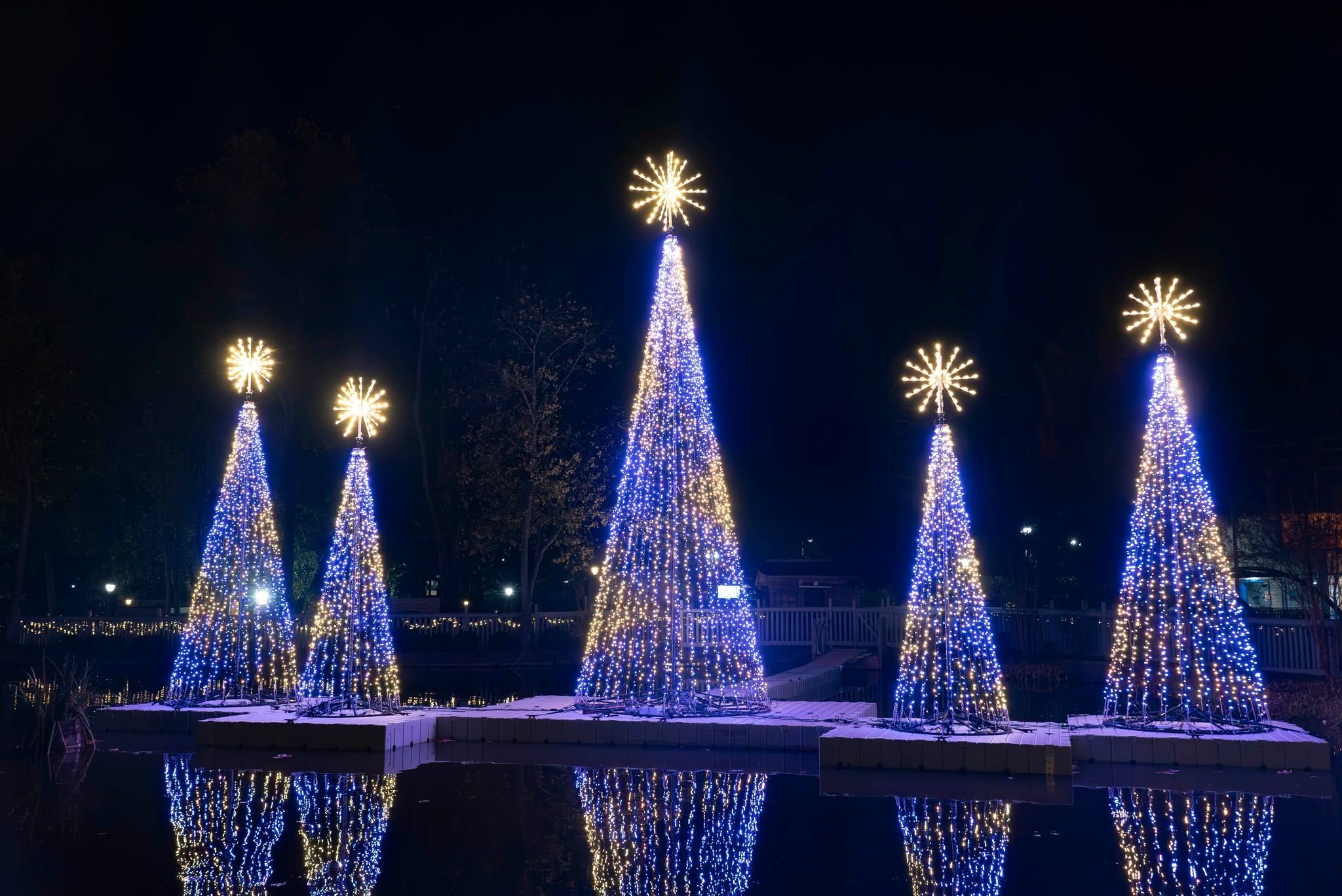 Five illuminated Christmas trees covered in blue and warm white LED lights stand on floating platforms over a still pond at Dollywood's Smoky Mountain Christmas festival, with their glowing reflections mirrored perfectly in the dark water below. Starburst toppers crown each tree, creating a magical winter wonderland display against the night sky.