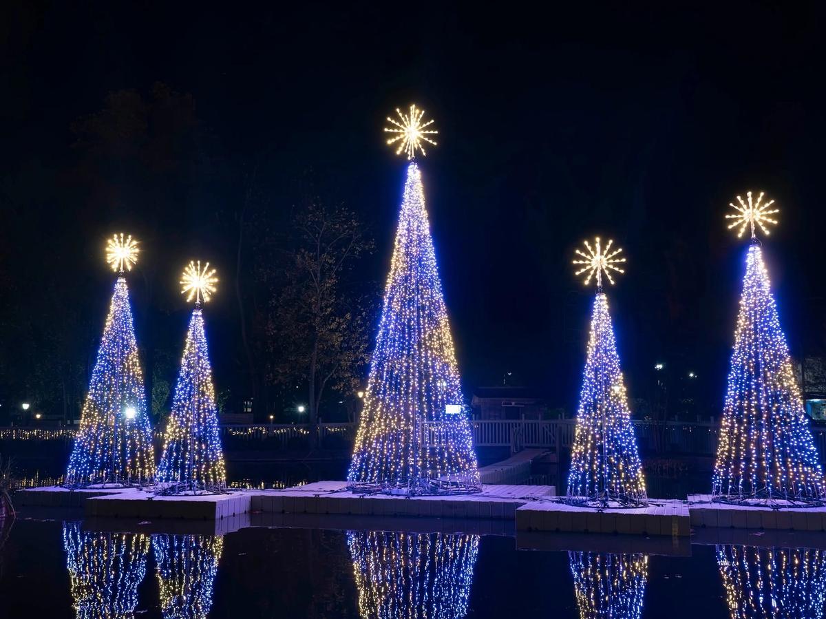 Five illuminated Christmas trees covered in blue and warm white LED lights stand on floating platforms over a still pond at Dollywood's Smoky Mountain Christmas festival, with their glowing reflections mirrored perfectly in the dark water below. Starburst toppers crown each tree, creating a magical winter wonderland display against the night sky.