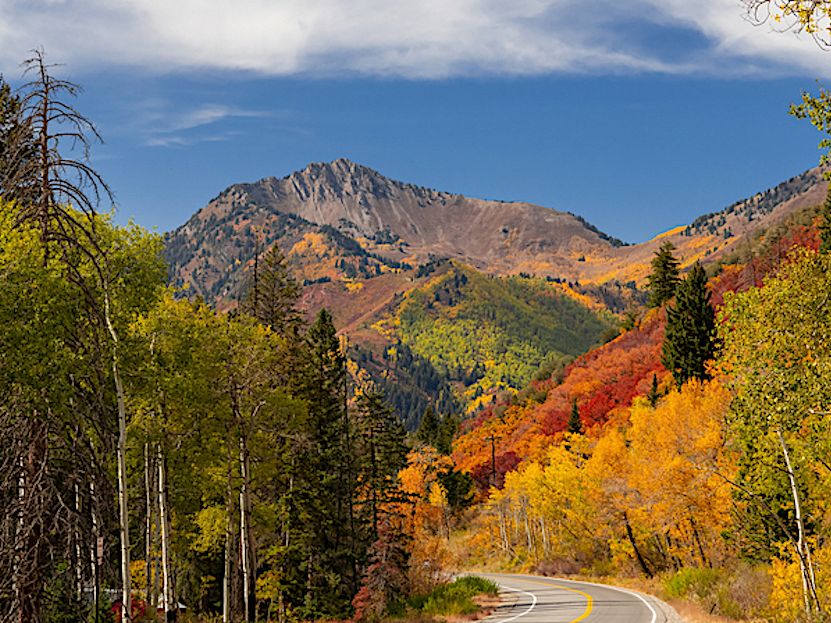 View of Guardsman Pass Scenic Byway, Utah with Fall Colors