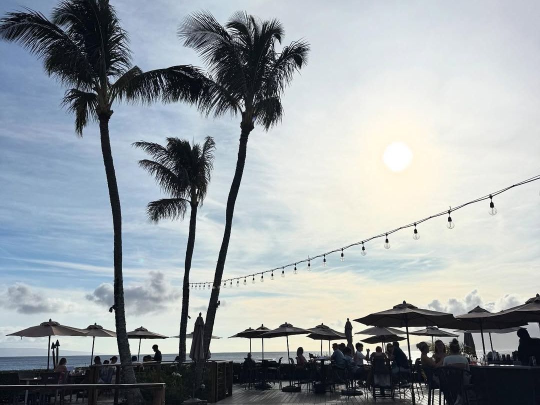 Outdoor dining under palm trees at a beachfront restaurant during sunset, with people enjoying their meals. A perfect place to eat, relax, and take in the island breeze.