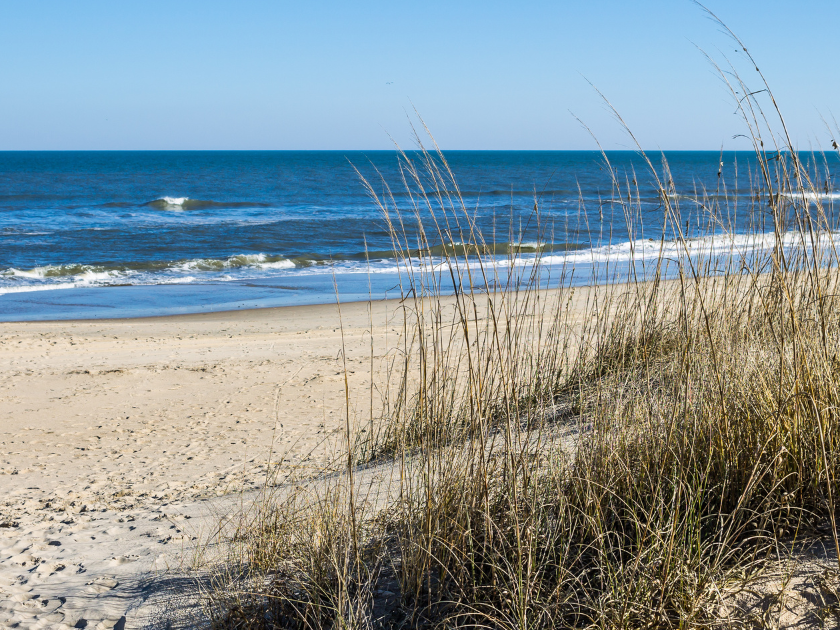 Tall beach grass lines the dunes at Sandbridge Beach in Virginia, with calm waves rolling in under a bright blue sky. It’s a quiet and relaxing coastal spot, perfect for a peaceful walk or just soaking in the view.